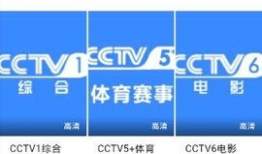 96视频网,畅享海量视频资源，尽在掌握